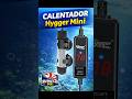 Calentador Hygger 100W ¿Vale la pena? Ideal para 🦐 gambas y discos #Termostato #Hygger #ShrimpTank
