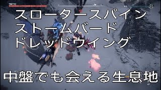 Horizon Forbidden West ゲーム中盤で スロータースパイン ストームバードに会える生息地 Youtube