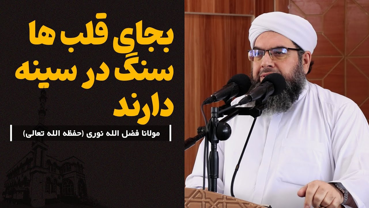 بجای قلب ها سنگ در سینه دارند | Дар синаашон ба чои дил санг доранд.