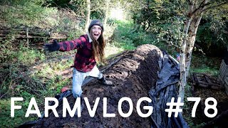 COMPOST with NO TURNING | BOKASHI REVEAL | FOOD FOREST PERMACULTURE FARM & NO DIG MARKET GARDENING
In this weeks FARMVLOG we catch up on the movements of our dairy goats and Shetland sheep and before taking an exciting look at our Bokashi experiment. Just under 8 weeks and we have a beautiful, dark compost thats almost ready to use as a no dig mulch in the market garden. This fermented organic material is produced through an anaerobic process to make a fertiliser and compost-like material that involves absolutely no turning! Were very excited!
Next were preparing the goat shed for the goats evening meal - feeding the goats hybrid willow tree branches and looking at how we manage the waste by building dead hedges with the tree branches.
Then we hook up the trailer to our BCS two wheel tractor and start removing the finished pumpkin plants in the polytunnel, finding some butternut squash amongst other varieties of pumpkins that we can use in the kitchen. We take the old veggies to the chickens who are in the straw yard, an area where all the waste from the farm is left to compost or be turned into eggs!
About Tap o Noth Farm:
Hi, were James and Rosa! Welcome to Tap o Noth Farm, a quarter acre Community Supported Agriculture (CSA) market garden and 8 acre permaculture designed forest garden farm/homestead in Aberdeenshire, NE Scotland. We practice home scale to small farm scale agroforestry and regenerative agriculture methods to produce organic fruit and vegetables, raise dairy goats for all our raw milk needs, Shetland sheep and geese to graze our silvopasture and coppice systems and laying hens, moved around in a chickshaw, for an abundance of eggs.
PATREON:
https://www.patreon.com/tapfarm
If youre looking for even more content from James and Rosa then you can become a patron of Tap Farm. It takes James between 5-10 hrs to edit our vlogs, let alone the time it takes to film and farm at the same time! Your support will aid us greatly in producing our FARMVLOGS, enabling us to take the time needed to craft a beautiful film and to help fund the licences needed for the vlog soundtrack. We will list your name at the end of each vlog episode so everyone knows how brilliant you are! We will also keep you updated on our farm work/life by posting exclusive video content that is not available on YouTube such as FARMVLOG outtakes, behind the scenes footage, hints & tips and more in depth videos discussing the many permaculture systems to be found on the farm PLUS the odd photo from Rosa and James.
SOCIAL:
INSTAGRAM - https://www.instagram.com/tapfarm/
FACEBOOK - https://www.facebook.com/taponothfarm
TAP CHAT FB GROUP - https://www.facebook.com/groups/tapch...
WEBSITE - www.taponothfarm.com
CHAPTERS (jump to your point of interest!)
Intro 0:00
Goat silvopasture 0:11
Shetland sheep/nut tree silvopasture update 2:14
End of our CSA veg box shares 3:02
Bokashi compost reveal 3:44
Feeding hybrid willow/trees to goats 10:26
Tree branches/brash for dead hedges 13:01
Polytunnel clean out with BCS and trailer 14:08
Different pumpkin/squash varieties 15:17
Taking crop waste to the chickens 19:00
Chicken straw yard/compost area 19:50
#bokashicompost #permaculture #nodiggardening
Making bokashi
bokashi composting
Effective Microorganisms
EM
Soil food web
permaculture in Scotland
Scottish permaculture
agroforestry COMPOST with NO TURNING | BOKASHI REVEAL | FOOD FOREST PERMACULTURE FARM & NO DIG MARKET GARDENING