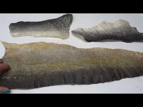 Видео: Как да направите рибена кожа