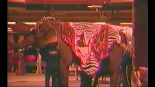 The Making of Day in the Life of Worcester on May 3, 1989