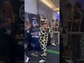 How to REALLY Commit to the Cow Suit Lifestyle