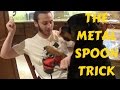 Stop Dog Biting Your When Giving Treats. How To Train Dogs To Take Treats GENTLY! Stop Dog Biting Your When Giving Treats. How To Train Dogs To Take Treats GENTLY!