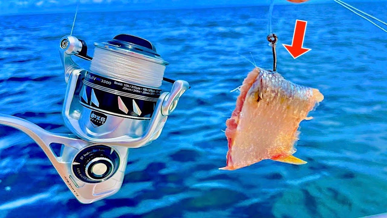 Fishing Cutbait 80' Deep in the Gulf of Mexico YouTube