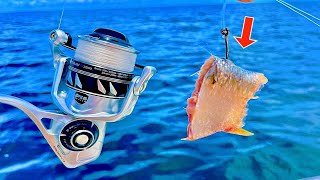 Fishing Cutbait 80' Deep in the Gulf of Mexico