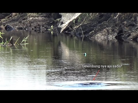 Video: Di Sini & Perkara Yang Paling Amerika Yang Boleh Anda Lakukan Pada Keempat Julai Ini