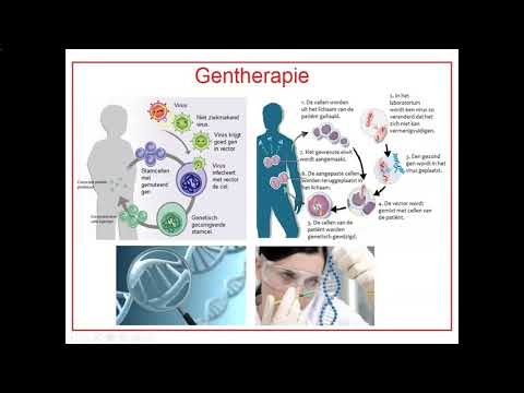 Video: Tumor-stroma-interacties: Fenotypische En Genetische Veranderingen In Borststroma: Implicaties Voor Tumorprogressie