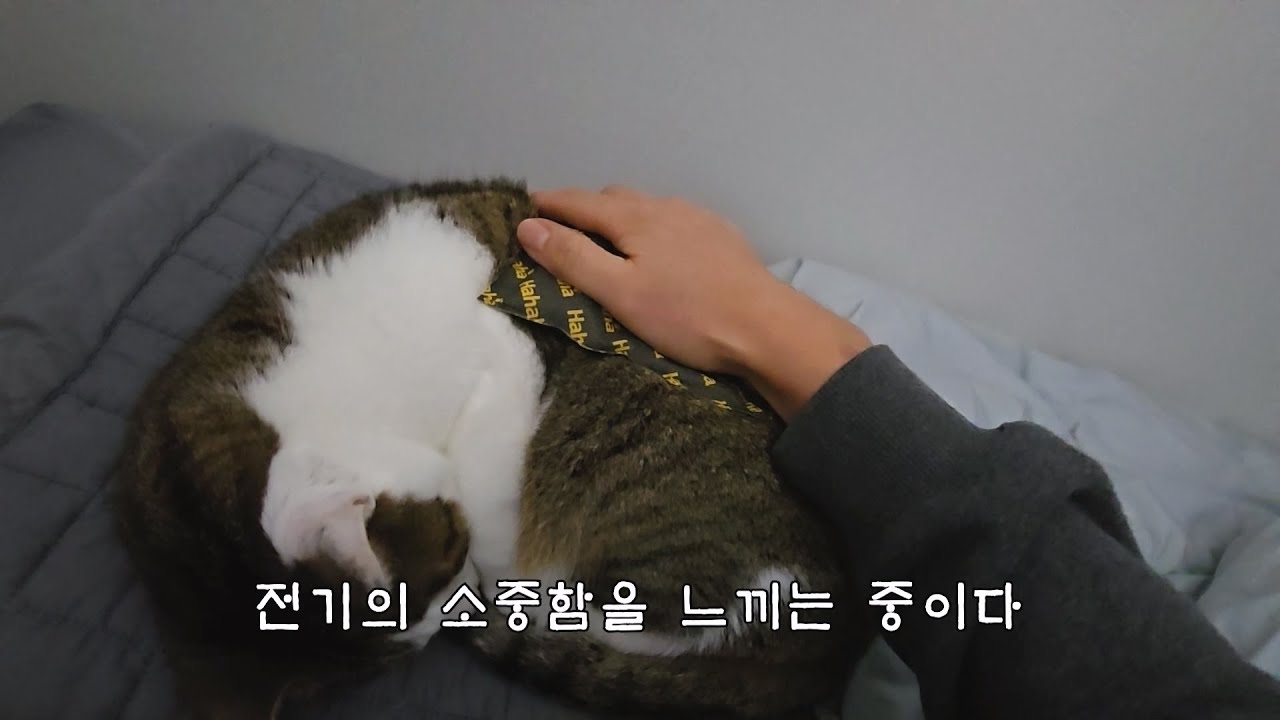 4일간의 정전, 단수 브이로그