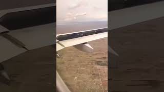 A cat  inside of palne wings 🤯 || #viral #viralshort #plane #vehiclezone #cat