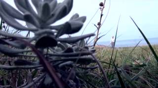 La Tierra y su Gente - Claves para la vida B. K. Gustavo Bonifacio