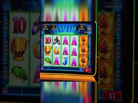I CAN'T BELIEVE THIS FREE SPINS PAID THIS!!! #shorts
