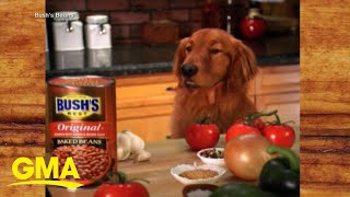 Celebrating 30 years of iconic Bush’s Beans ad