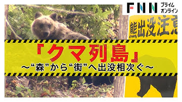 ヒグマやツキノワグマによる被害相次ぐ　「緊急銃猟」でクマ駆除する地域も　お昼の保育園にも出没… 熊に関するニュースまとめ