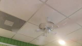 Hunter Mariner Ceiling Fans