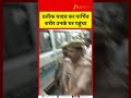 Prateek Yadav’s Mortal Remains Reach His Residence In Lucknow