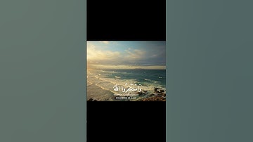 تلاوة خاشعة تهز القلوب 🌿 | قرآن كريم بصوت ناصر القطامي #quran  #حالات_واتس #explore #ناصر_القطامي