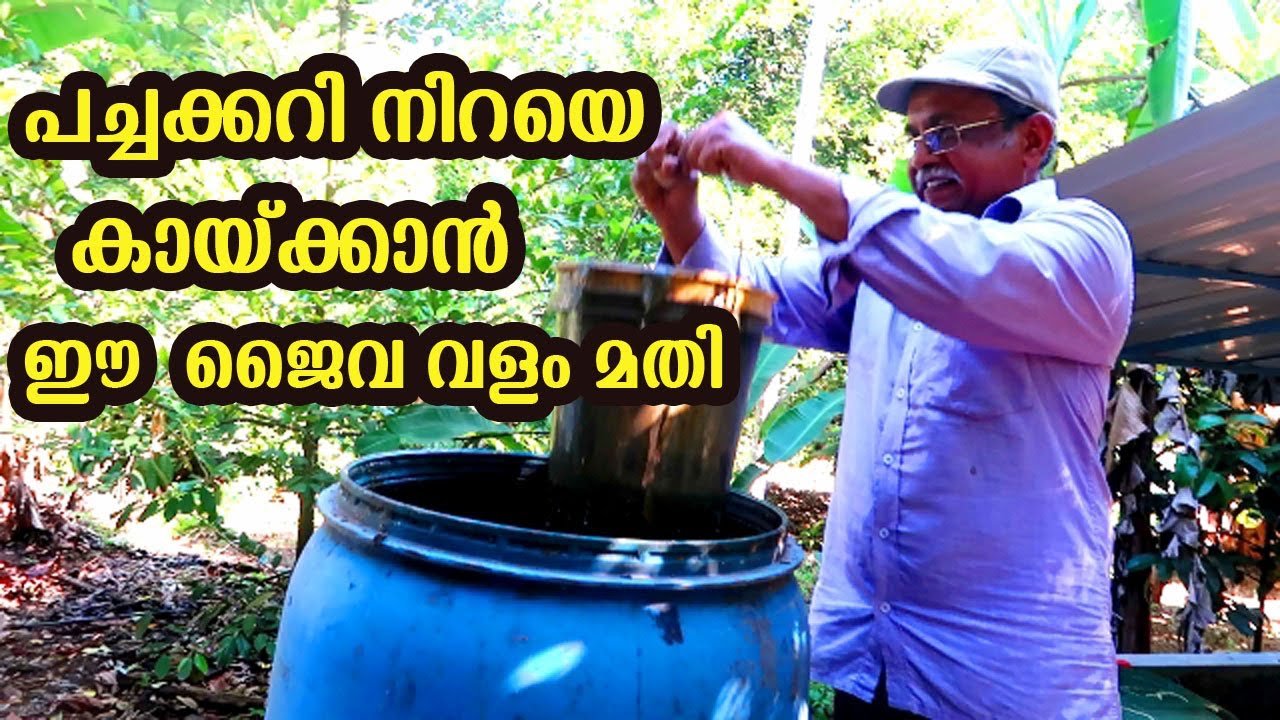 ജീവാമൃതം ജൈവ വളം വീട്ടിൽ ഉണ്ടാകുന്ന വിധം How to Make Organic Fertilizer