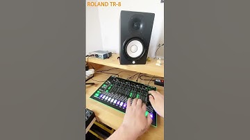 Roland TR-8 (Acid Techno Beat)
