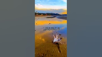 قرآن كريم القارئ سعد الغامدي من سورة (يس)
