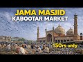 Jamamasjid ka kabootar 180rs only Dm for buy ❤️