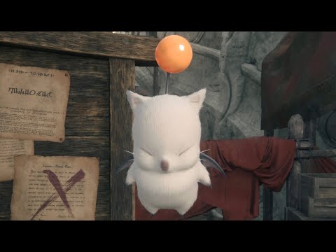 All S-Rank Hunts