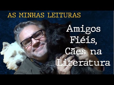 Vídeo: Resenha do livro: Amigos fiéis