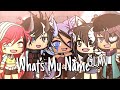 What’s My Name | GLMV