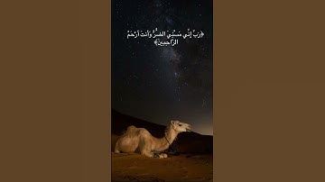 #القارئ_عبد_الرحمن_مسعد #اكسبلور #قرآن #لايك #quran #المصحف #قران_كريم_بصوت_جميل_جدا