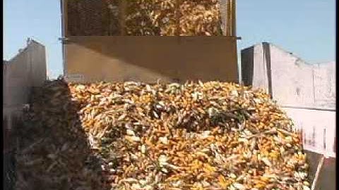 Dahlman Seed Quality