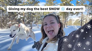 Taking my dog to see SNOW for the first time in 2 years!! ❄️☃️