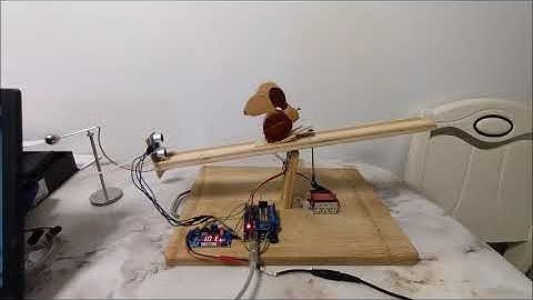 Automated Dynamic Walking Toy