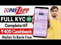 Payzapp Wallet Full Kyc Kaise Kare | How to Complete Full Kyc in Payzapp | Payzapp Wallet to Bank ✅