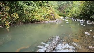 How to Get to my Favorite Unnamed Swimming Hole on Oahu Hawaii   Wahiawa Forest Area