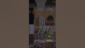 تلاوة إبداعيّة لـ آياتِ الحجّ من سُورة الحجّ | الشيخ د.#بندر_بليلة