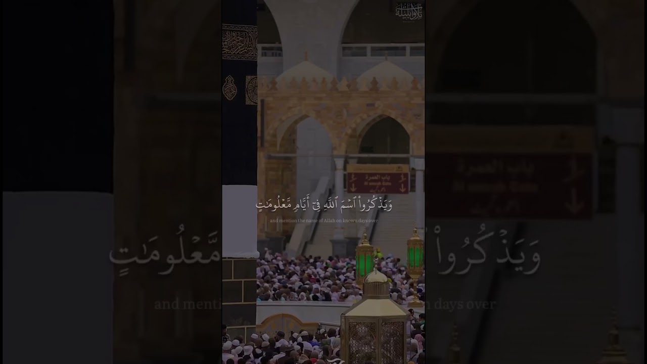 تلاوة إبداعيّة لـ آياتِ الحجّ من سُورة الحجّ | الشيخ د.#بندر_بليلة