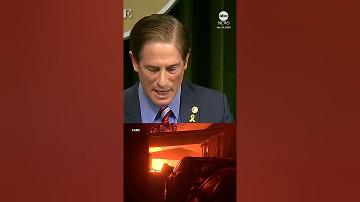 9 people charged with looting amid Los Angeles area wildfires, DA says