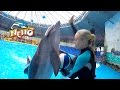 Дельфинарий Немо Киев Dolphinarium Nemo Kiev