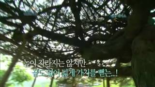 [해피선데이] 1박 2일 - Two Days and One Night 20120805 # 015