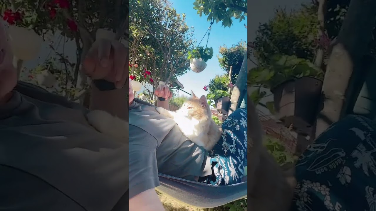 Relaxing day with my cat 