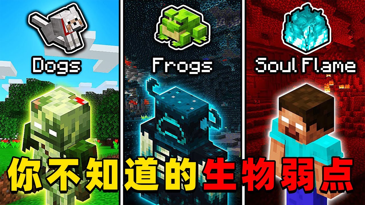 我的世界：每个生物你不知道的弱点，快来看看你知道几个？