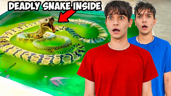 We Caught the Deadly Snake Attacking Our Fish!