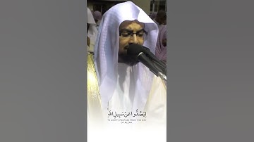 (ثُمَّ يُغلَبونَ)| خاشعة للشيخ ناصر القطامي - سورة الانفال 🤍😢