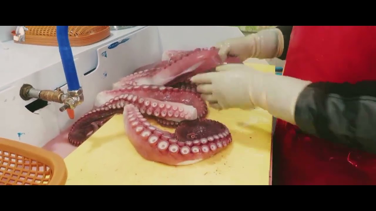 Octopus 🐙 Cleaning 🧹 and cutting ️#saidrahim YouTube video like and ...