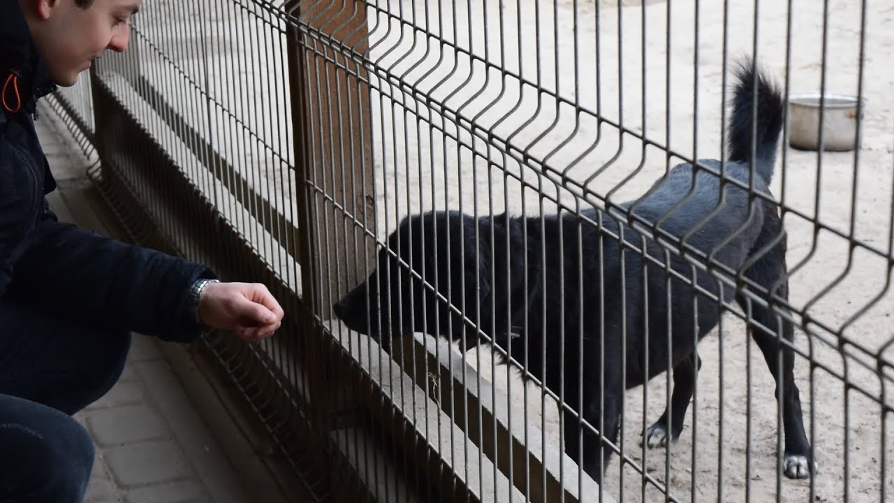 Projekt "Zróbmy Różnicę" - Powstanie Pomysłu | Część Pierwsza