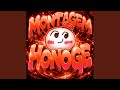 Montagem Honoge 