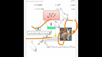 Grade 2 Urdu Dated 16 10 2021
