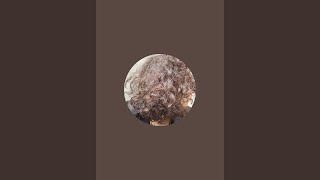 l.s is live