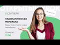 Плазматическая мембрана. Виды транспорта через мембрану