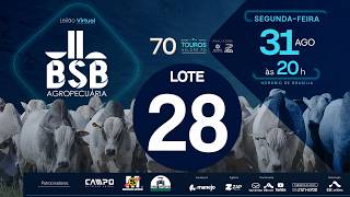 28 - LEILÃO VIRTUAL GENÉTICA TOUROS BSB AGROPECUÁRIA 31/08/2026